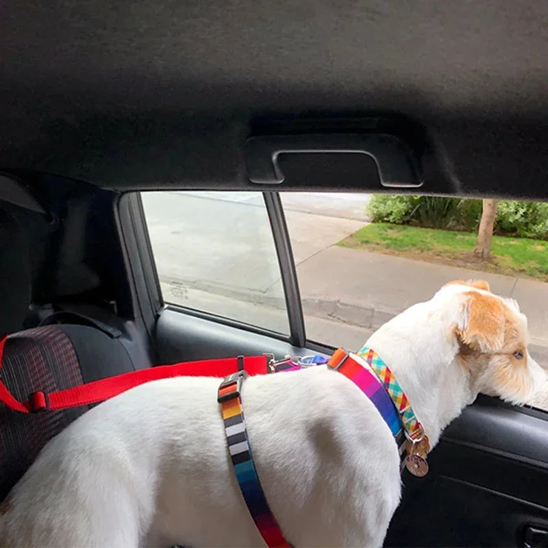 2-in-1 Dog Car Seat Belt & Leash (Adjustable Nylon)
