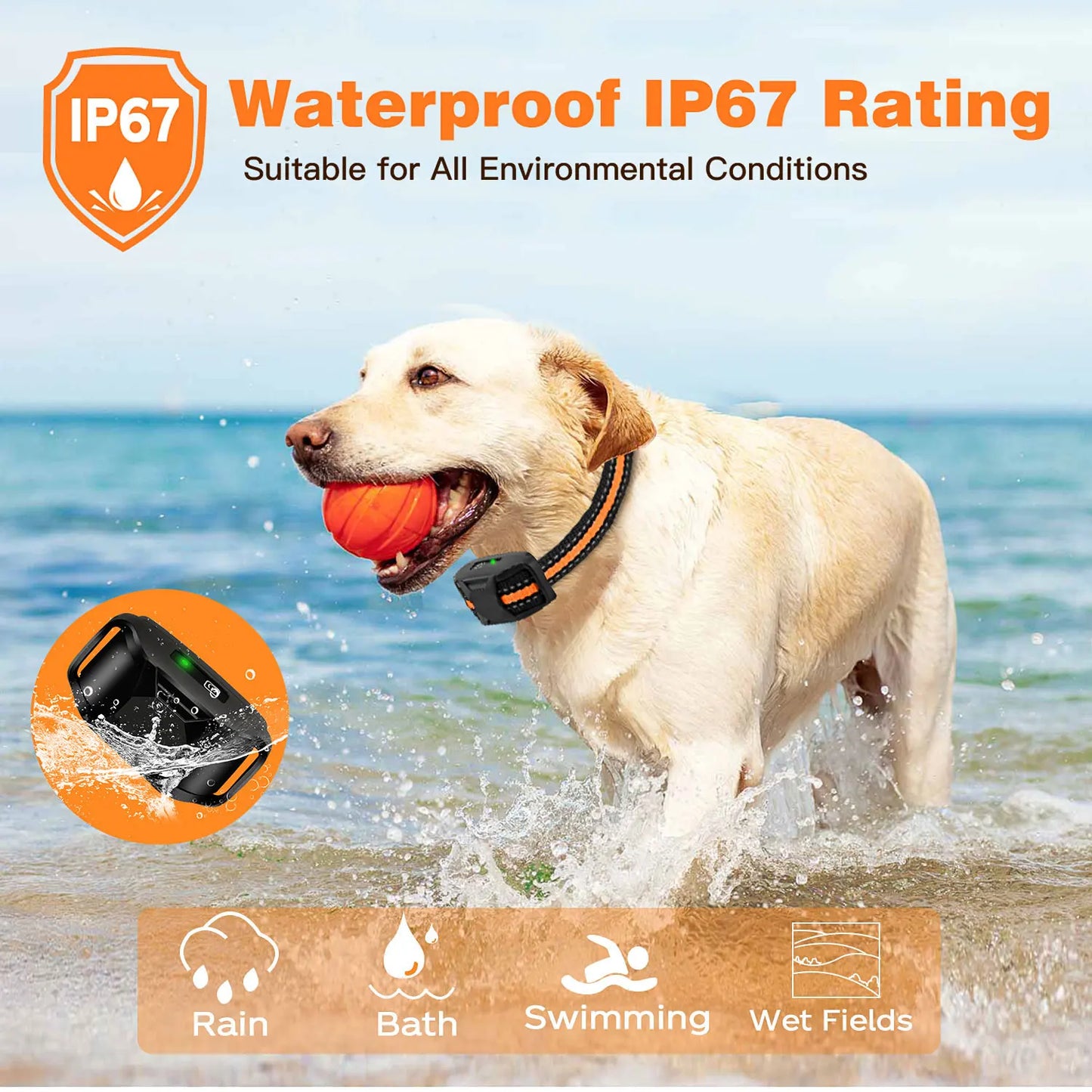 Remote Dog Training Collar (Waterproof, 3300Ft Range)