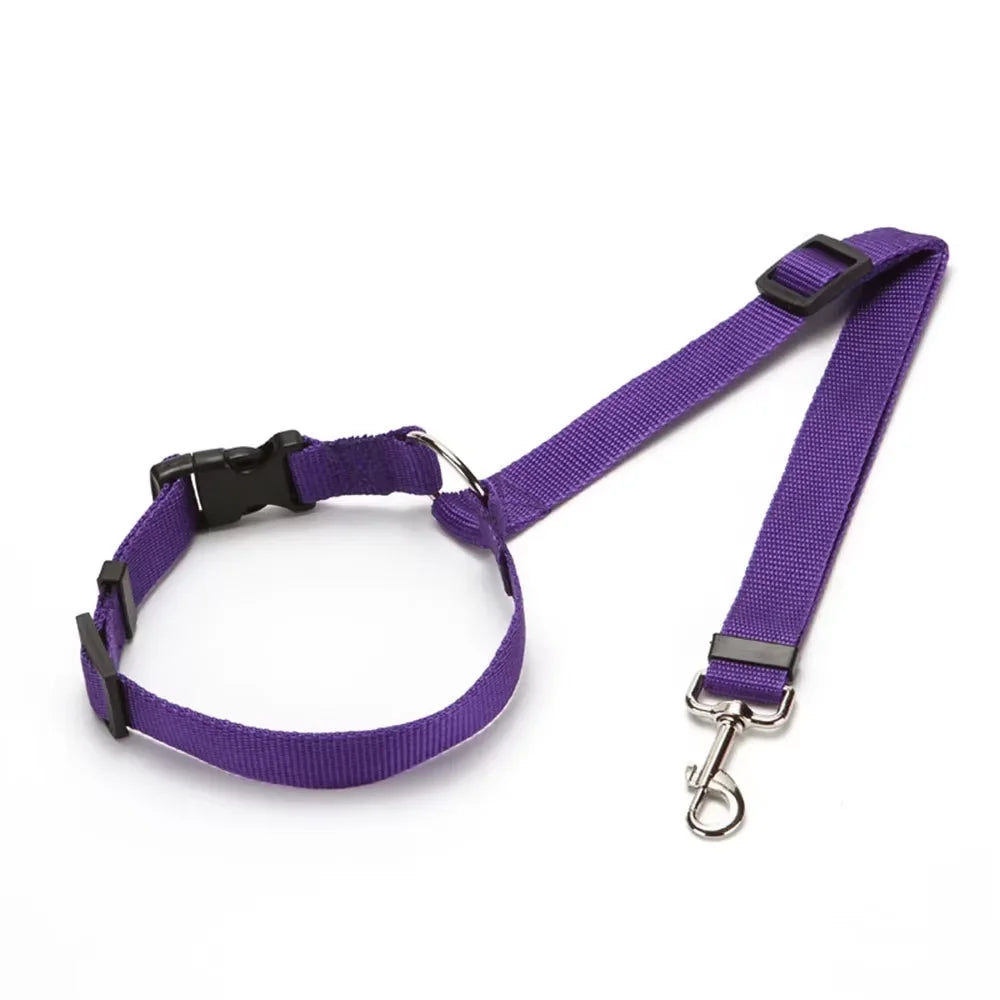 2-in-1 Dog Car Seat Belt & Leash (Adjustable Nylon)