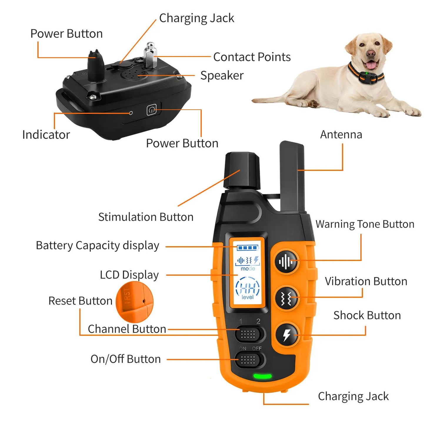Remote Dog Training Collar (Waterproof, 3300Ft Range)