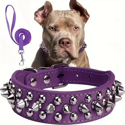Spiked Leather Dog Collar & Leash Set (Adjustable)