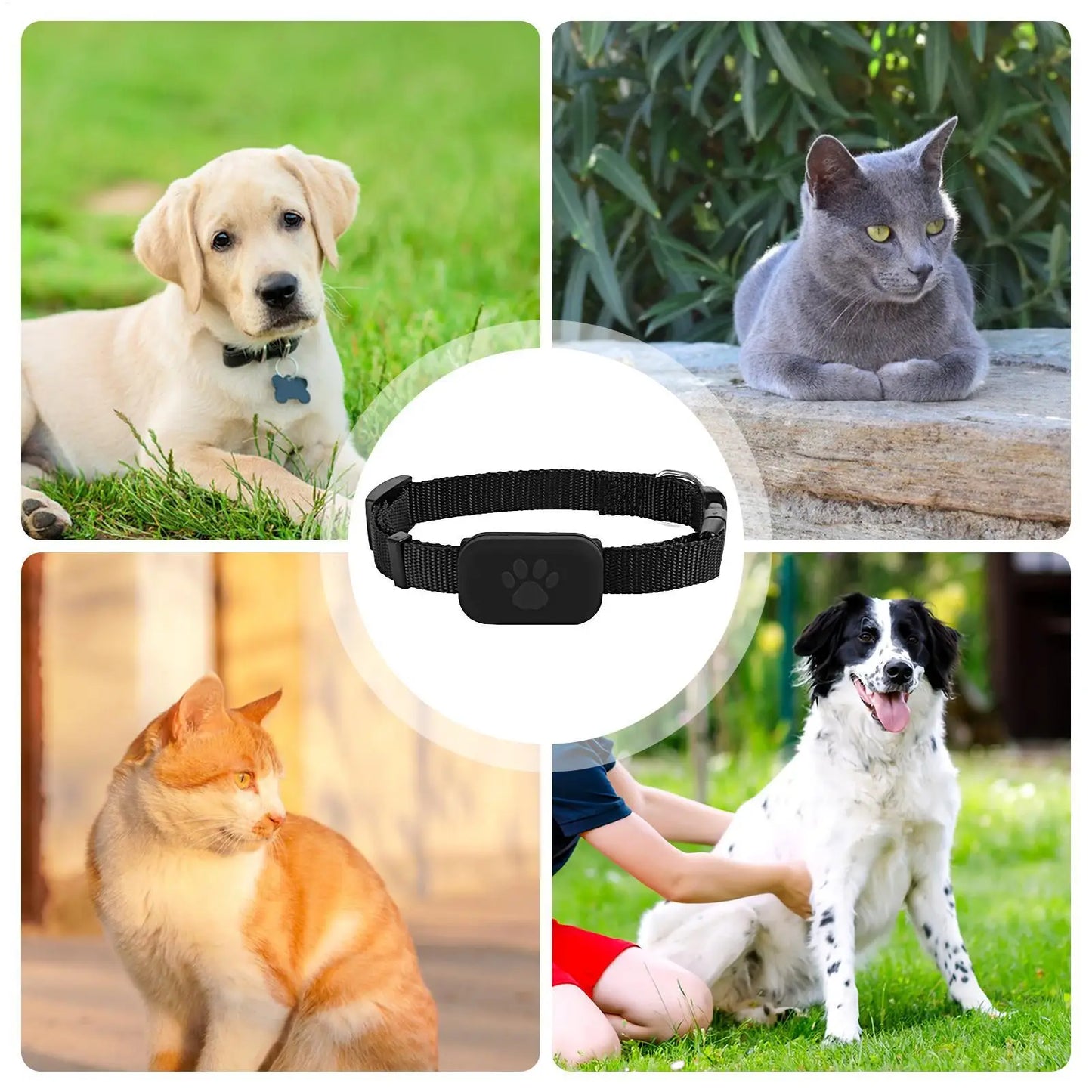 Multifunctional Smart GPS Tracker – Pet Safety for Cats & Dogs